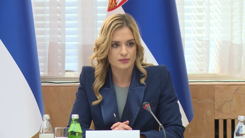 Ministarka Milica Đurđević Stamenkovski sedi za stolom i govori tokom zvaničnog sastanka.